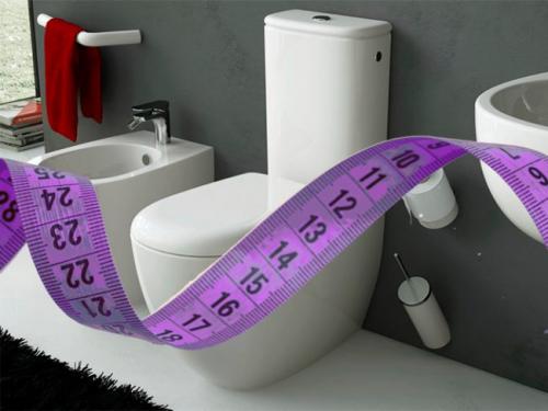 Габариты унитаза с бачком. Размеры унитаза с бачком и их классификация