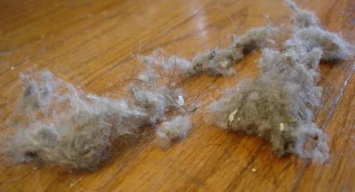 В квартире постоянно пыль, что делать. Как избавиться от пыли в квартире: способы расправы с видимо-невидимым врагом