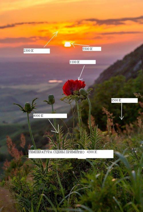 Цветовая температура. Какую температуру свечения (цвета) выбрать.