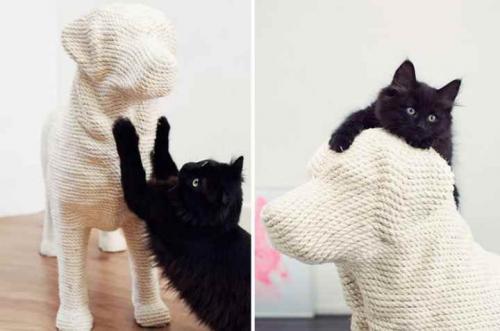 Чем закрыть обои от кошки. Какие обои не будет драть кошка и что может помочь в продлении сроков между ремонтами?