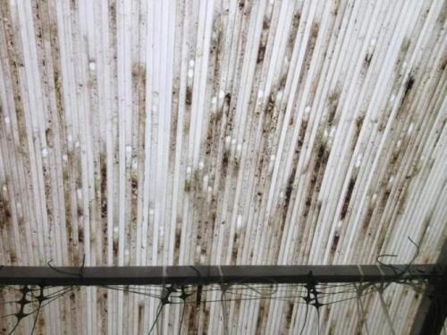 Как обеспечить герметичность соединений между поликарбонатными панелями. Зачем закрывать торцы