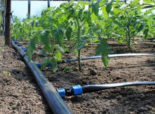 Система автополива на даче. Характеристики системы автополива