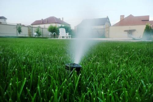 Вечный капельный полив своими руками сделай и себе такой. Капельный полив: капельницы, спринклеры, микроразбрызгиватели