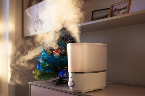 Какие проблемы могут возникнуть при сухости воздуха в доме. Сухо, словно в пустыне. Как зимой наладить микроклимат в квартире