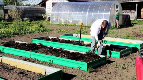 Чем огородить грядки на даче дешево. Делаем ограждения вокруг грядок из различных материалов