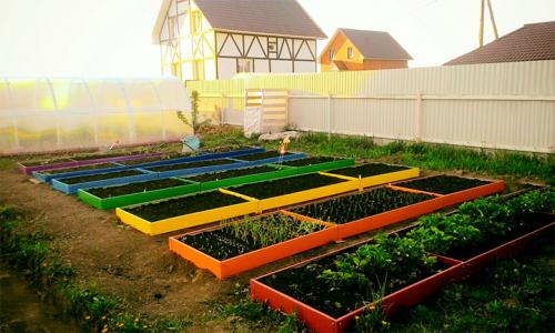 Чем огородить грядки на даче дешево. Делаем ограждения вокруг грядок из различных материалов