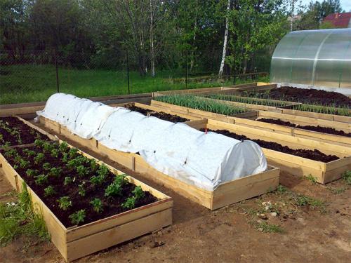 Из чего можно сделать грядки на огороде. Делаем ограждения вокруг грядок из различных материалов