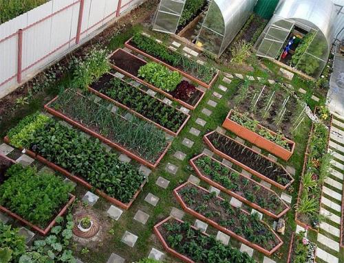 Из чего можно сделать грядки на огороде. Делаем ограждения вокруг грядок из различных материалов