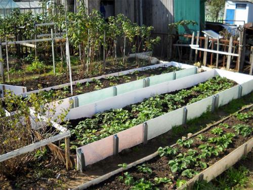 Из чего можно сделать грядки на огороде. Делаем ограждения вокруг грядок из различных материалов