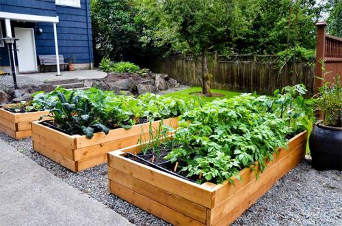 Из чего можно сделать грядки на огороде. Делаем ограждения вокруг грядок из различных материалов