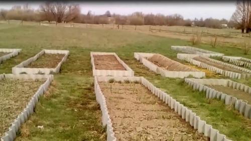 Огород без хлопот для пожилых, как делать умные грядки. Огород без хлопот для пожилых —, как делать умные грядки, особенности