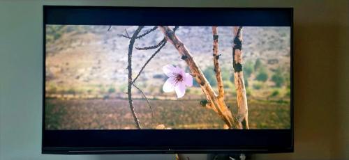 Что такое энергопотребление бытовых приборов. Что в квартире больше всего «мотает» свет, и как снизить расходы на электроэнергию