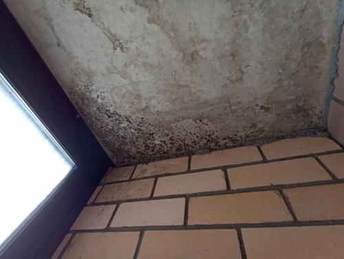 Могут ли решетки на пластиковые окна ухудшить вентиляцию в помещении. Про плесень, вентиляцию и закрытые форточки