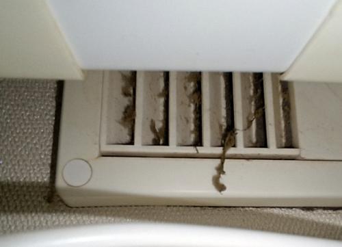 Могут ли решетки на пластиковые окна ухудшить вентиляцию в помещении. Про плесень, вентиляцию и закрытые форточки