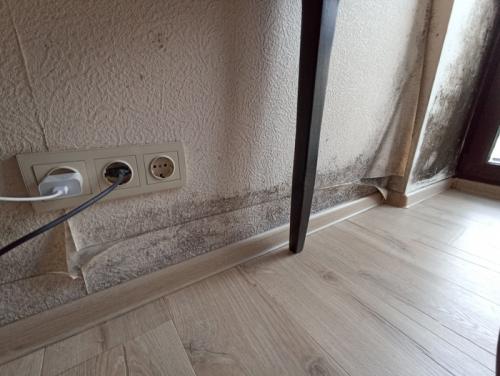 Могут ли решетки на пластиковые окна ухудшить вентиляцию в помещении. Про плесень, вентиляцию и закрытые форточки