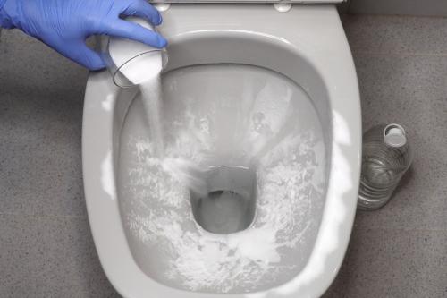 Как часто нужно чистить систему слива унитаза. Бытовая химия