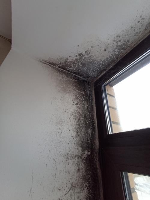 Могут ли решетки на пластиковые окна ухудшить вентиляцию в помещении. Про плесень, вентиляцию и закрытые форточки