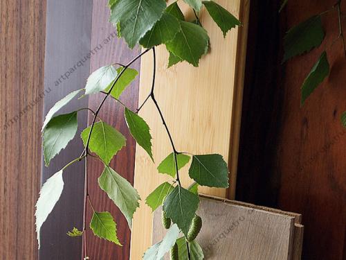 Узнайте, какую доску выбрать для пола: проверенные советы и рекомендации 17