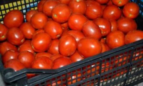 Томатный сок на шнековой соковыжималке. Шнековые соковыжималки 13 Томатный сок на шнековой соковыжималке. Шнековые соковыжималки 13