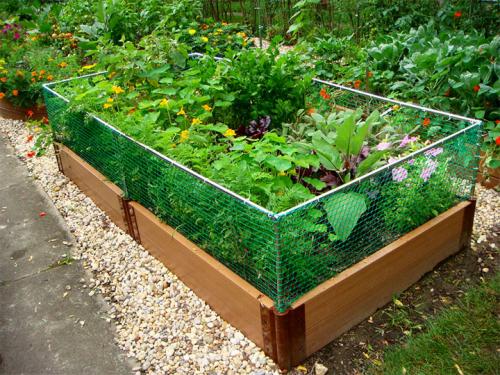 Из чего можно сделать грядки на огороде. Делаем ограждения вокруг грядок из различных материалов