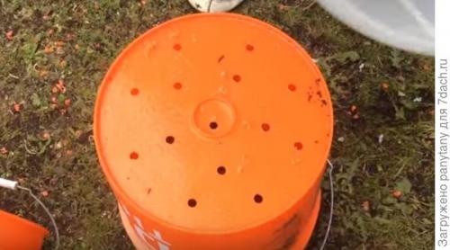 Как сделать опору для малины в горшке. Мобильный малинник