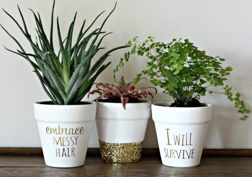 Необычные цветочные горшки. Цветочные горшки — идеи подбора дизайна для комнатных и садовых растений (65 фото)