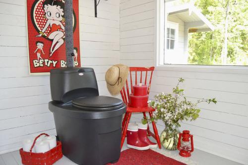 Что такое современный дачный туалет. Посиди, подумай! Как построить отличный дачный туалет?