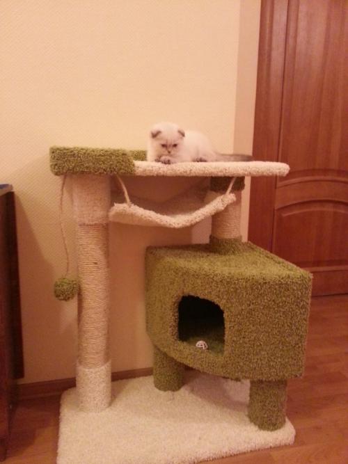 Антикошка своими руками на пластиковые окна. Сетка антикошка своими руками на пластиковые окна 10