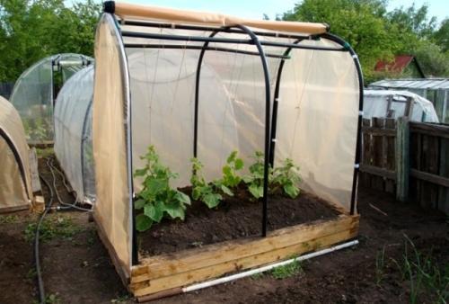 Парник для огурцов своими руками самые лучшие проекты. Как построить парник для огурцов на даче и на балконе – простые и доступные модели