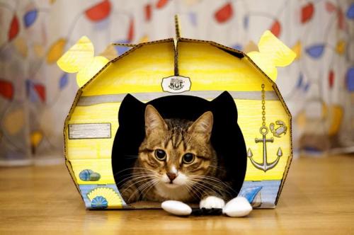 Антикошка своими руками на пластиковые окна. Сетка антикошка своими руками на пластиковые окна 16