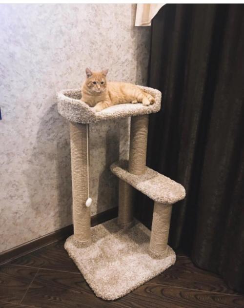 Антикошка своими руками на пластиковые окна. Сетка антикошка своими руками на пластиковые окна 09