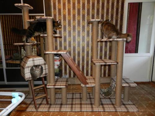 Антикошка своими руками на пластиковые окна. Сетка антикошка своими руками на пластиковые окна 12