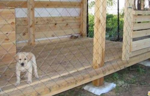 Строим вольер для собаки: подробная схема и инструкция 15