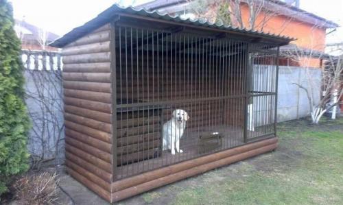 Строим вольер для собаки: подробная схема и инструкция 11