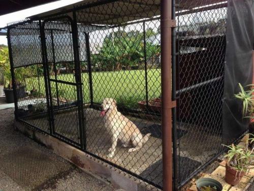 Строим вольер для собаки: подробная схема и инструкция 12