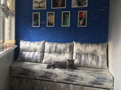 Диван на балконе. 7 популярных моделей диванов, которые можно поставить на балкон