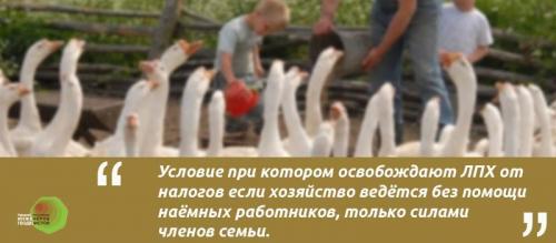 Для ведения личного подсобного хозяйства прописка. Что такое ЛПХ