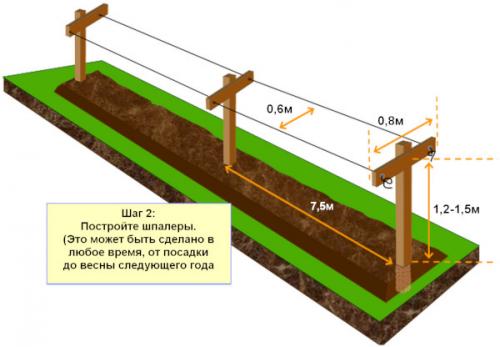 Как выбрать подходящий дизайн ограждения для малины. Подготовка малинника к посадке кустов