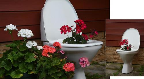 Цветы в кашпо на даче. 9 правил выращивания в уличных горшках 02