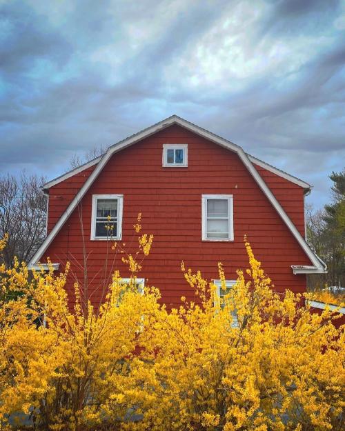 Цветы в кашпо на даче. 9 правил выращивания в уличных горшках 05