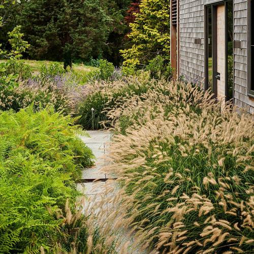 Цветы в кашпо на даче. 9 правил выращивания в уличных горшках 09