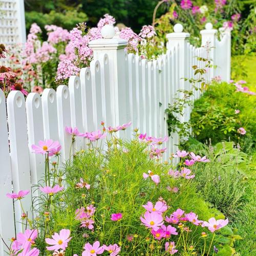 Цветы в кашпо на даче. 9 правил выращивания в уличных горшках 06