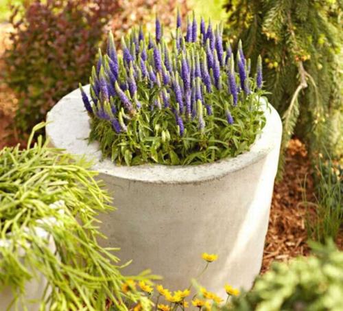 Чаша для фонтана своими руками. Изготовление фонтана своими руками 06