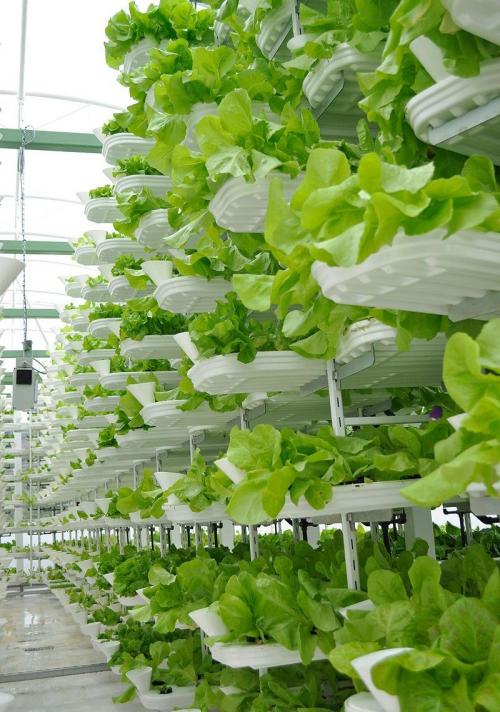 Дома 3д принтером. Вертикальные фермы и сады