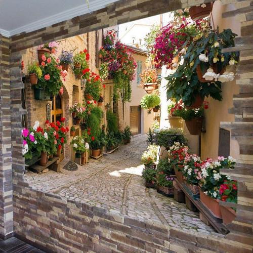 Флизелиновые обои vs виниловые: основные различия 09 Флизелиновые обои vs виниловые: основные различия 09