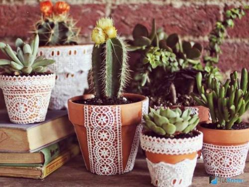 Горшок для цветов своими руками. Горшки для цветов своими руками – лучшие идеи создания стильного декора и особенности применения зеленых насаждений (110 фото)