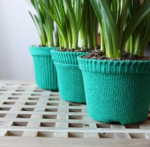 Горшок для цветов своими руками. Горшки для цветов своими руками – лучшие идеи создания стильного декора и особенности применения зеленых насаждений (110 фото)