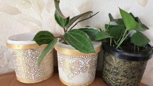Горшок для цветов своими руками. Горшки для цветов своими руками – лучшие идеи создания стильного декора и особенности применения зеленых насаждений (110 фото)