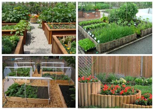 Как создать грядку для фруктов на даче.  Мобильный огород из коробов-грядок