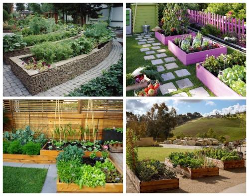 Идеи грядок для сада